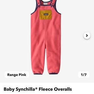 Patagonia baby synchilla overalls (3-6 months)